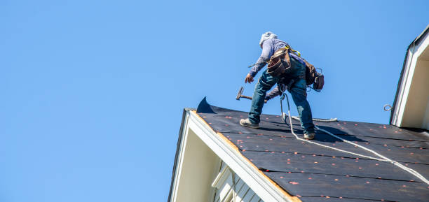 Best Metal Roofing Contractor  in Monroe, IA